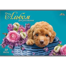 Альбом для рисования 32 листа Щенок в корзинке С0226-50