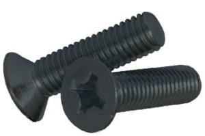 Винт пот.  3х10 DIN 965 (ГОСТ17475) б/п 027-3101