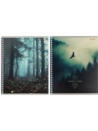 Тетрадь  48 листов Мистическая природа, гребень 48-6497