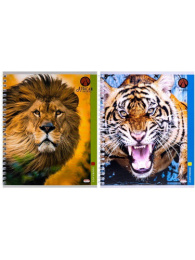 Тетрадь  48 листов Короли зверей, гребень 48-4541