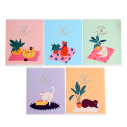 Тетрадь  48 листов На позитиве 10872/5