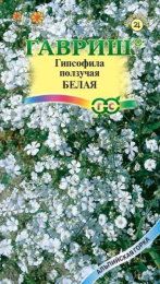 Гипсофила Белая ползучая 0,05г цветной пакет Гавриш