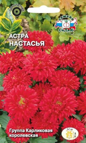 Астра Настасья 0,2г цветной пакет Седек