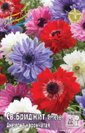 Анемона Св.Бриджит смесь  5шт. Эконом Colorline