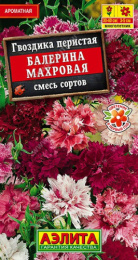 Гвоздика перистая Балерина махровая смесь окрасок 0,1г цветной пакет Аэлита
