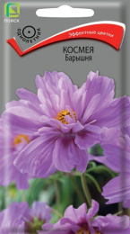 Космея Барышня 0,1г цветной пакет Поиск