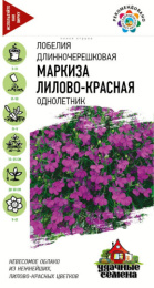 Лобелия Маркиза лилово-красная ампельная 0,01г цветной пакет серия Удачные семена Гавриш