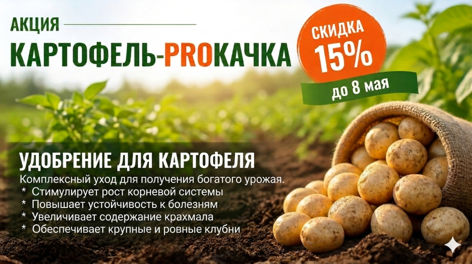 Удобрения для картофеля