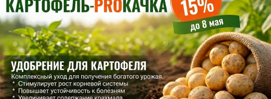 Удобрения для картофеля