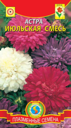 Астра Июльская смесь 0,3г цветной пакет Плазменные семена