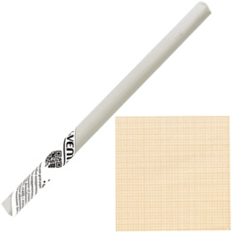 Бумага масштабно-координатная Ф878х20, 60г/м2 Devente 2113804