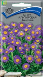 Астра Альпийская фиолетовая 0,04г цветной пакет Поиск