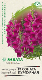 Львиный зев (Антирринум) Соната пурпурная F1  7шт. цветной пакет Саката серия Элитная клумба Гавриш