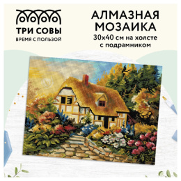 Алмазная мозаика на подрамнике 30х40см Сказочная избушка Три совы АМП3040_47593