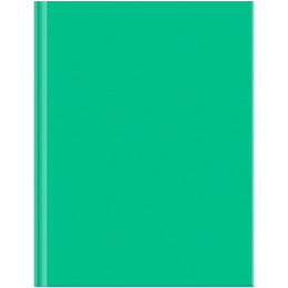 Блокнот А5  80 листов Биз BG Для конференций, зеленый, книжный переплет ББ5Т80_ЛГ 34159