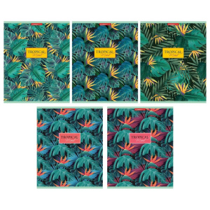 Тетрадь  80 листов Стрелиция 13191/5