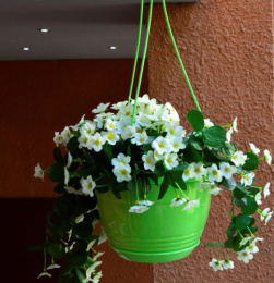 Кашпо подвесное пластиковое Глория с поддоном d-19см 2,0л зеленый 5plast 5PL0623