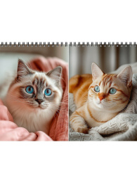 Блокнот А5  80 листов Уютные котики 2, гребень Б80-9259