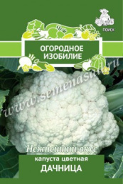 Капуста цветная Дачница 0,5г цветной пакет серия Огородное изобилие Поиск