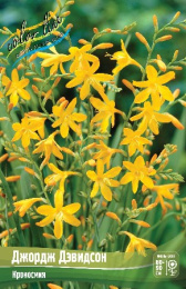 Крокосмия Джордж Дэвидсон  3шт. Эконом Colorline