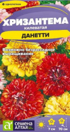 Хризантема Данетти килеватая 0,1г цветной пакет Семена Алтая