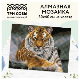 Алмазная мозаика на холсте 30х40см Тигр Три совы АМ3040_47535