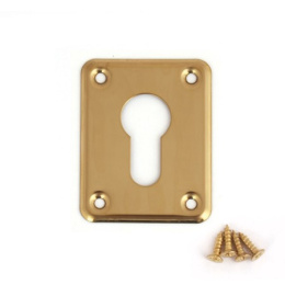 Накладка декоративная Avers DP-01-C-G Avers 31266