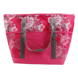 Термосумка 30л 53х21х34см CB-68 HypnosisTote-I Ecos 006768