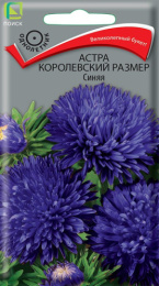 Астра Королевский размер синяя 0,1г цветной пакет Поиск