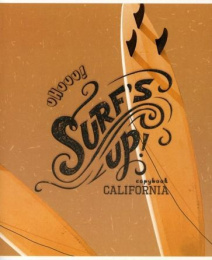 Тетрадь  48 листов Серф С0222-216