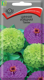 Цинния Павлин изящная 0,4г цветной пакет Поиск