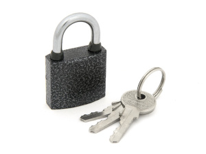 Замок навесной Palladium 303F-30 Palladium 29328