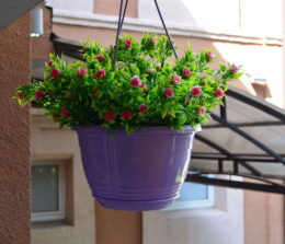 Кашпо подвесное пластиковое Глория с поддоном d-19см 2,0л лавандовый 5plast 5PL0622