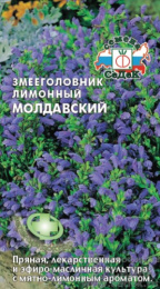 Змееголовник Молдавский лимонный 0,5г цветной пакет Седек