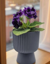 Горшок для цветов пластиковый Бекер со съемным поддоном 4,6л d-20,5см h-24см антрацит 5plast 5PL0799