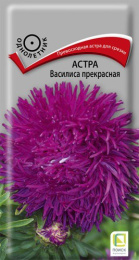 Астра Василиса прекрасная 0,3г цветной пакет Поиск