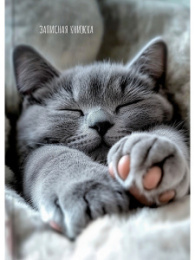 Книжка записная А6 160 листов Милые котики-9, книжный переплет ЗК160-0085