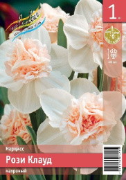 Нарцисс Рози Клауд 1шт. Эконом Colorline