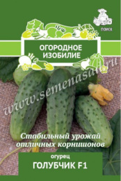 Огурец Голубчик F1 0,5г цветной пакет серия Огородное изобилие Поиск
