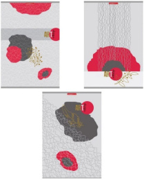 Тетрадь  96 листов А4 Маки на сером 11517/3