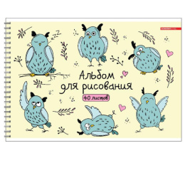 Альбом для рисования 40 листов День совы, гребень 11766