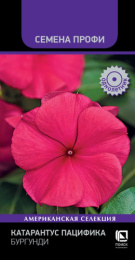 Катарантус Пацифика Бургунди 10шт. цветной пакет серия Семена Профи Поиск