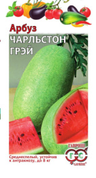 Арбуз Чарльстон Грей  5шт. цветной пакет Гавриш