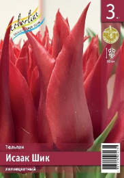 Тюльпан Исаак Шик  3шт. Эконом Colorline