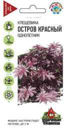 Клещевина Остров Красный 5шт. цветной пакет серия Удачные семена Гавриш