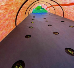 Укрывной материал (спанбонд) рулонный перфорированная мульча плотность 80 UV черный 1,3х100м (2 шах 30х30х8см) Агротекс 2ш