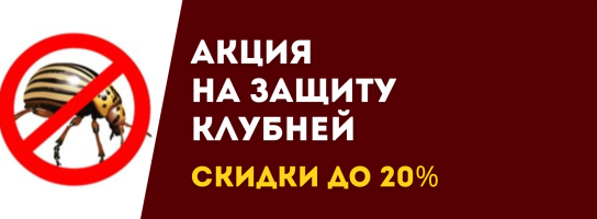 Защита клубней