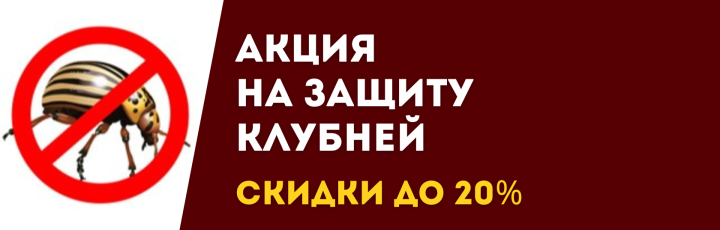 Защита клубней