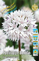 Шоу-бокс Лук декоративный Грейсфул Бьюти 75шт. Colorline