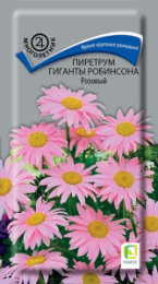 Пиретрум Гиганты Робинсона розовый 0,1г цветной пакет Поиск